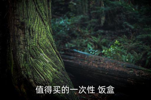 值得買的一次性 飯盒