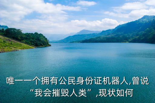 唯一一個(gè)擁有公民身份證機(jī)器人,曾說“我會(huì)摧毀人類”,現(xiàn)狀如何