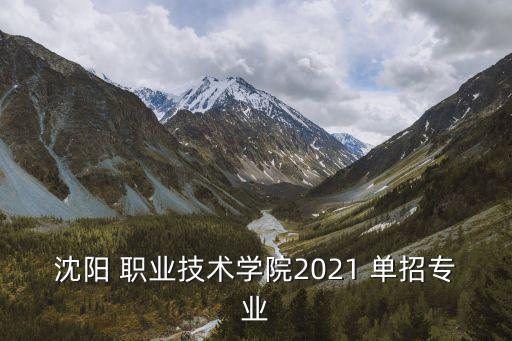 沈陽(yáng) 職業(yè)技術(shù)學(xué)院2021 單招專業(yè)