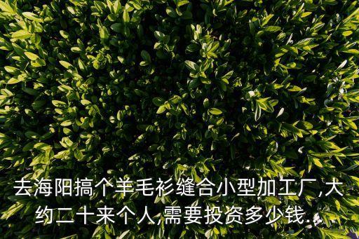 去海陽搞個羊毛衫縫合小型加工廠,大約二十來個人,需要投資多少錢...