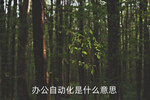辦公自動化是什么意思