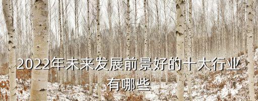 未來(lái)行業(yè),未來(lái)十年最有前景的十大行業(yè)是什么?
