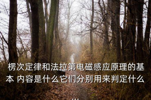  楞次定律和法拉第電磁感應(yīng)原理的基本 內(nèi)容是什么它們分別用來判定什么...