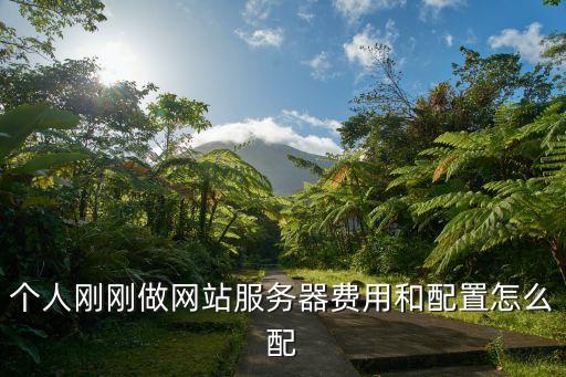 自動化設(shè)備定制服務(wù)器配置,網(wǎng)站服務(wù)器配置怎么算?