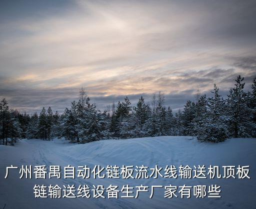 廣州番禺自動(dòng)化鏈板流水線輸送機(jī)頂板鏈輸送線設(shè)備生產(chǎn)廠家有哪些