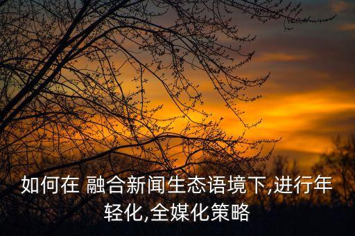 如何在 融合新聞生態(tài)語境下,進行年輕化,全媒化策略