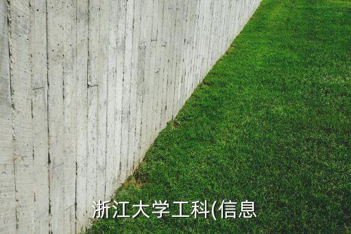 浙大 電氣自動化 選專業(yè),浙大的電氣自動化怎么樣