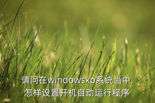 自動按步驟運行程序,怎么設置開機自動運行程序?