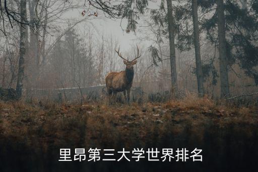 法國里昂創(chuàng)新機(jī)器人