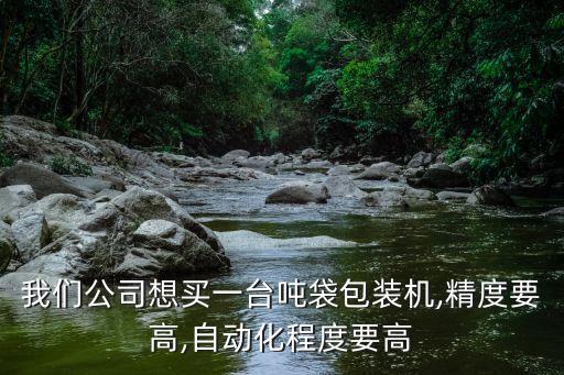 我們公司想買一臺(tái)噸袋包裝機(jī),精度要高,自動(dòng)化程度要高
