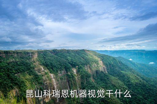 昆山科瑞恩機(jī)器視覺(jué)干什么