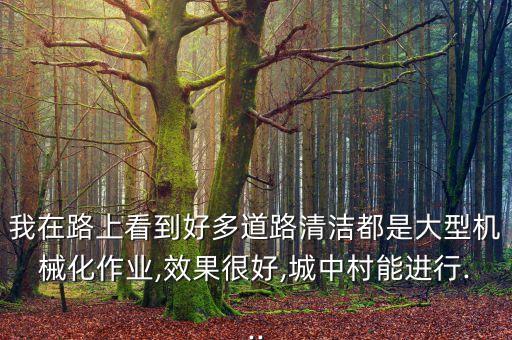 我在路上看到好多道路清潔都是大型機械化作業(yè),效果很好,城中村能進行...