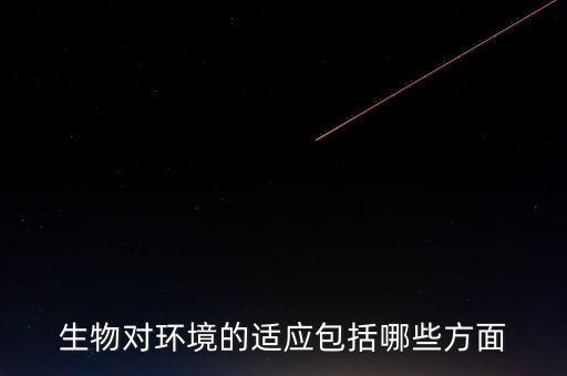 環(huán)境適應(yīng),如何快速適應(yīng)新環(huán)境?
