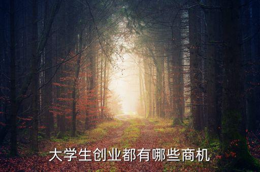 大學(xué)生創(chuàng)業(yè)都有哪些商機(jī)