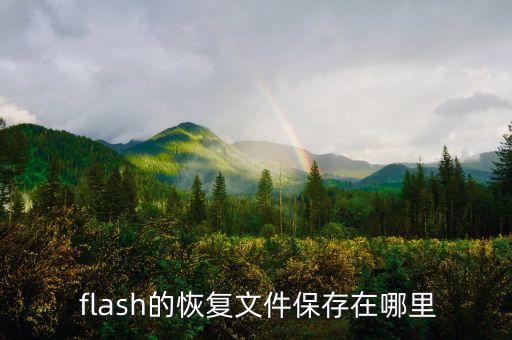  flash的恢復文件保存在哪里