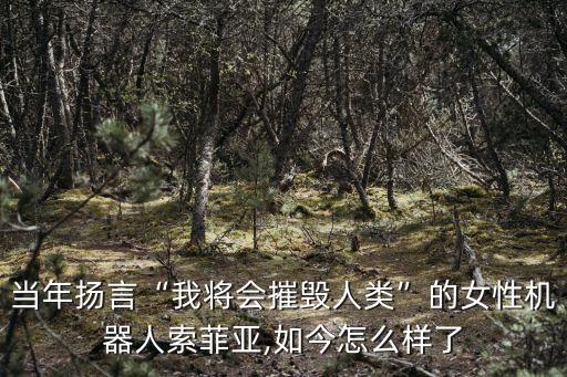 當(dāng)年揚(yáng)言“我將會(huì)摧毀人類”的女性機(jī)器人索菲亞,如今怎么樣了