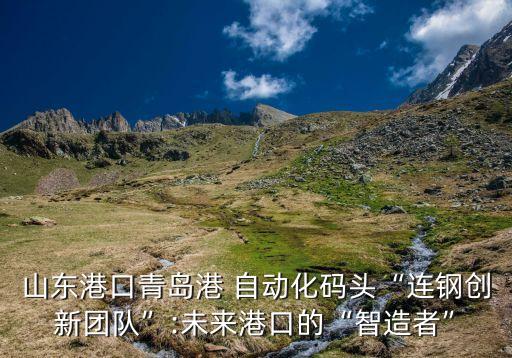 山東港口青島港 自動(dòng)化碼頭“連鋼創(chuàng)新團(tuán)隊(duì)”:未來港口的“智造者”