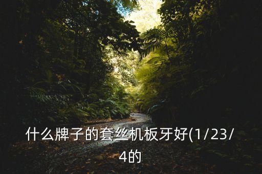 自動(dòng)化套牙設(shè)備廠家,國內(nèi)有哪些做線束自動(dòng)化加工設(shè)備廠家?