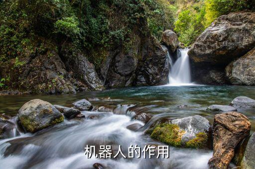 機器人功能大全,關于機器人你必須知道的事情