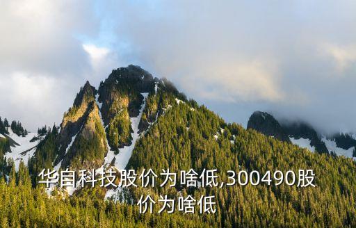 華自科技股價為啥低,300490股價為啥低