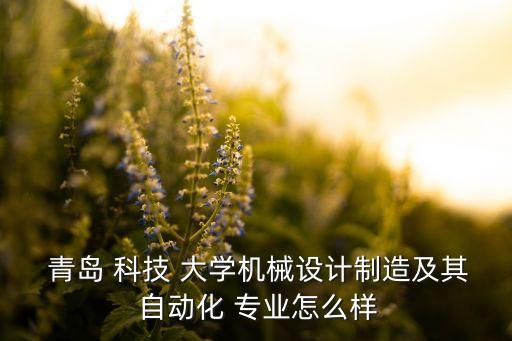  青島 科技 大學(xué)機(jī)械設(shè)計制造及其 自動化 專業(yè)怎么樣