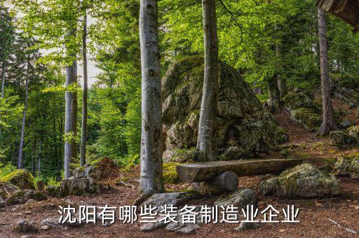 華寶自動化設(shè)備,華寶致和的設(shè)備怎么處理的