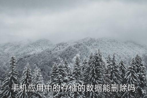 手機(jī)應(yīng)用中的存儲(chǔ)的數(shù)據(jù)能刪除嗎
