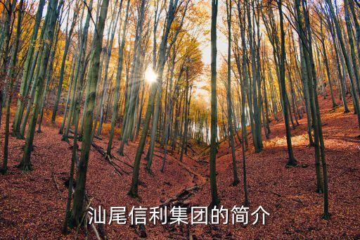 汕尾市自動化公司,蘇州自動化公司前十名