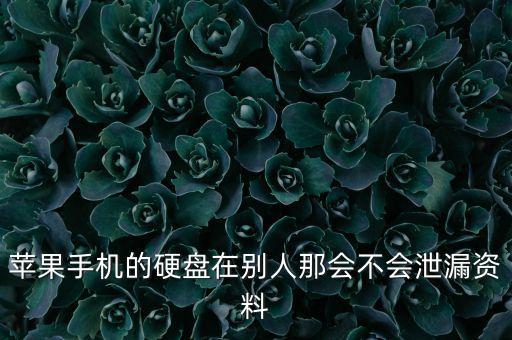 蘋果手機(jī)的硬盤在別人那會不會泄漏資料