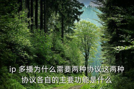 ip 多播為什么需要兩種協(xié)議這兩種協(xié)議各自的主要功能是什么