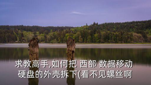 拆西部數(shù)據(jù)移動(dòng)硬盤,西部數(shù)據(jù)移動(dòng)硬盤無法讀取怎么修復(fù)