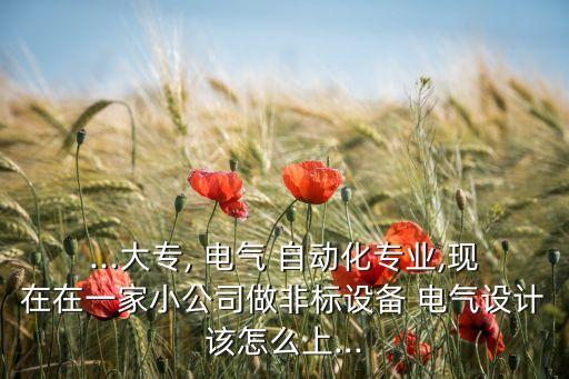 ...大專, 電氣 自動(dòng)化專業(yè),現(xiàn)在在一家小公司做非標(biāo)設(shè)備 電氣設(shè)計(jì)該怎么上...