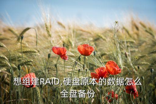 raid 保留原數(shù)據(jù),怎樣用raid卡保護數(shù)據(jù)?