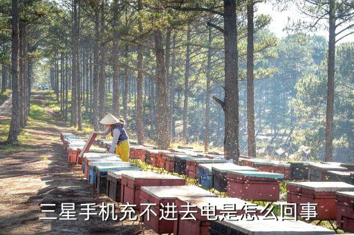  三星手機(jī)充不進(jìn)去電是怎么回事