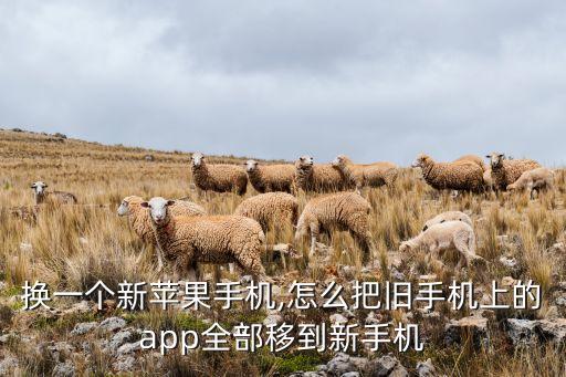 換一個新蘋果手機,怎么把舊手機上的app全部移到新手機