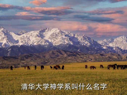  清華大學神學系叫什么名字