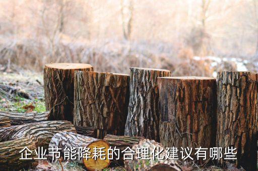 企業(yè)節(jié)能降耗的合理化建議有哪些
