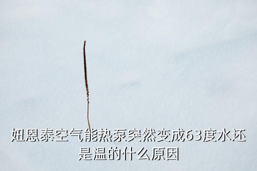 妞恩泰空氣能熱泵突然變成63度水還是溫的什么原因