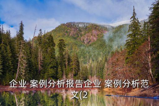 企業(yè) 案例分析報(bào)告企業(yè) 案例分析范文(2