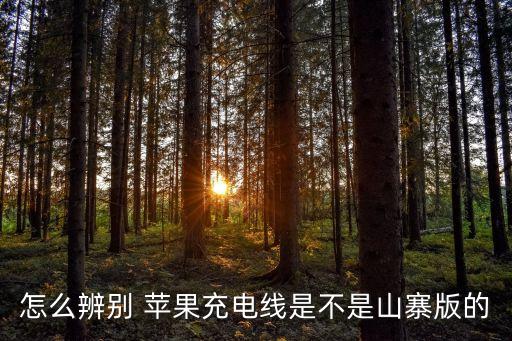高仿蘋果數(shù)據(jù)線能用嗎,蘋果數(shù)據(jù)線高仿和原裝的有啥區(qū)別