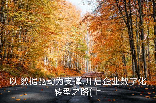 以 數據驅動為支撐,開啟企業(yè)數字化轉型之路(上