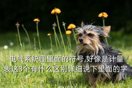  電氣系統(tǒng)圖里面的符號(hào),好像是計(jì)量表這3個(gè)有什么區(qū)別詳細(xì)說(shuō)下里面的字...