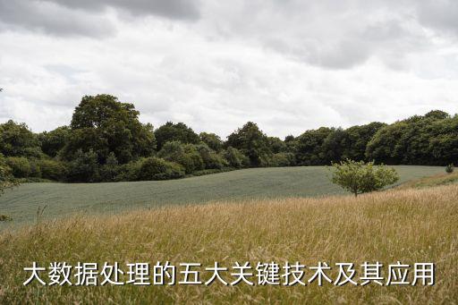大數(shù)據(jù)接入技術(shù),大數(shù)據(jù)有什么技術(shù)?