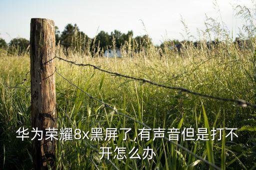 華為榮耀8x黑屏了,有聲音但是打不開(kāi)怎么辦