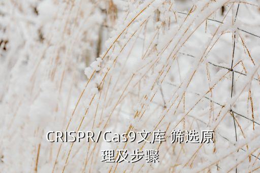 CRISPR/Cas9文庫 篩選原理及步驟