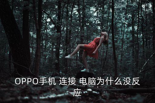 oppo用不了數(shù)據(jù)連接電腦沒反應(yīng)