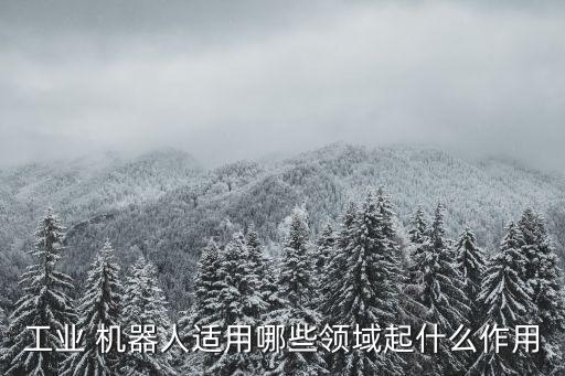 工業(yè) 機(jī)器人適用哪些領(lǐng)域起什么作用