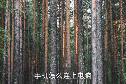 手機(jī)怎么連上電腦