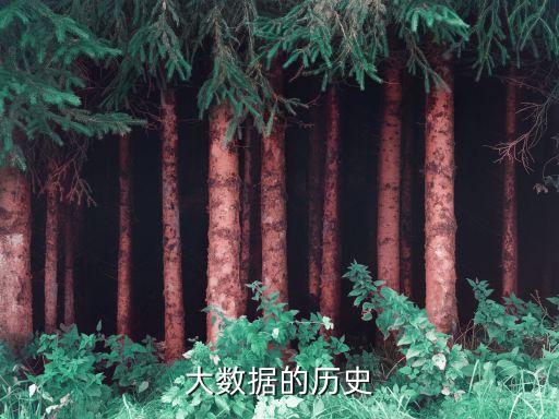 數(shù)據(jù)庫(kù)歷史與發(fā)展趨勢(shì),未來(lái)數(shù)據(jù)庫(kù)的發(fā)展趨勢(shì)是什么樣的