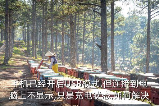 手機(jī)已經(jīng)開(kāi)啟USB模式,但連接到電腦上不顯示,只是充電狀態(tài),如何解決